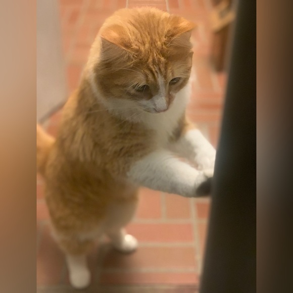 Jade!! - Picture 12 of 16